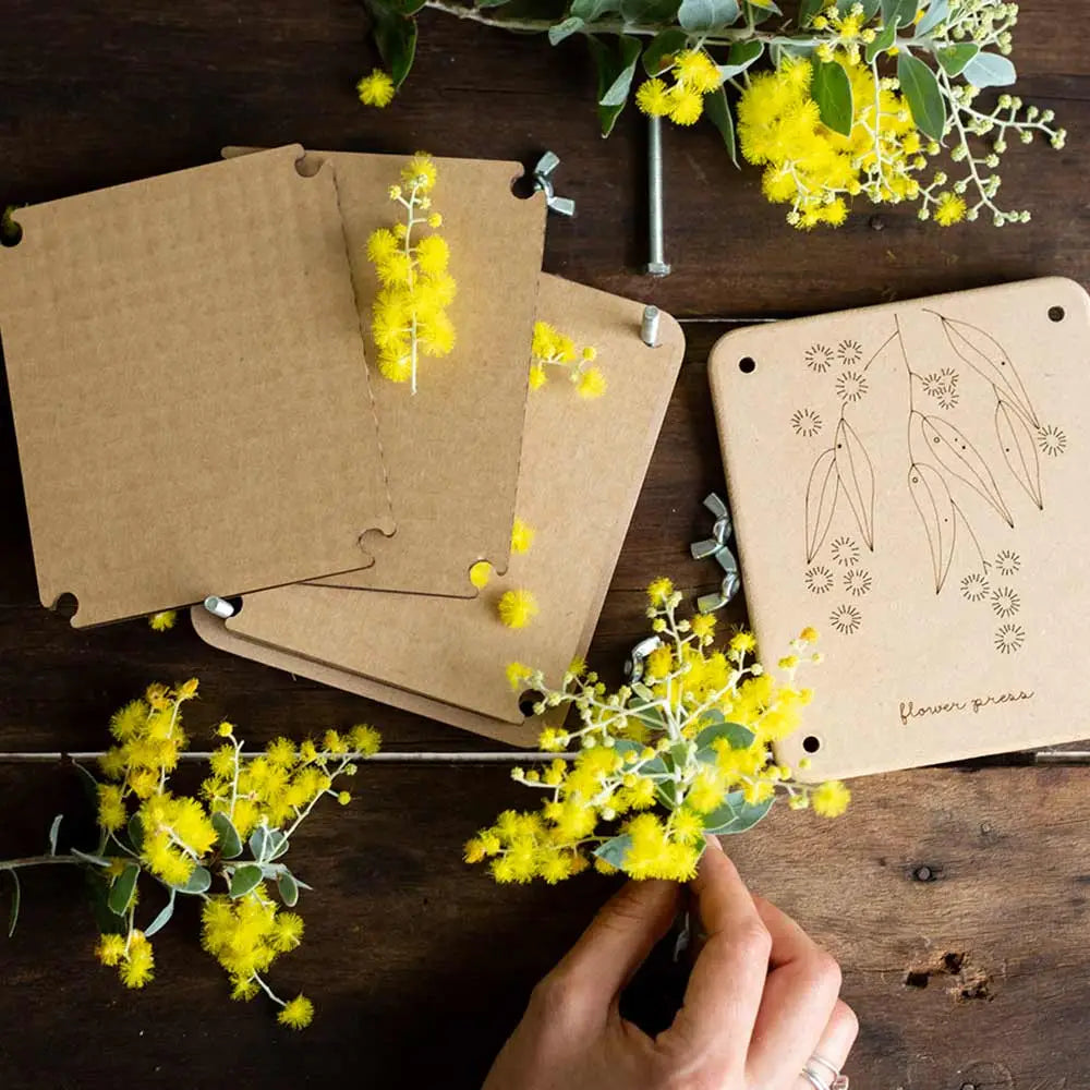 Mini Wattle Flowerpress