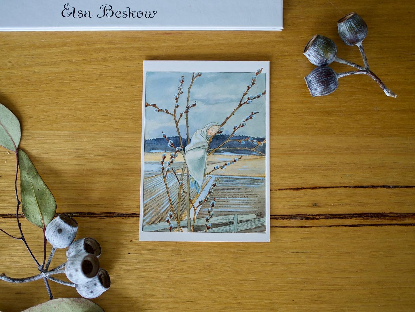 Elsa Beskow Postcard 6x4
