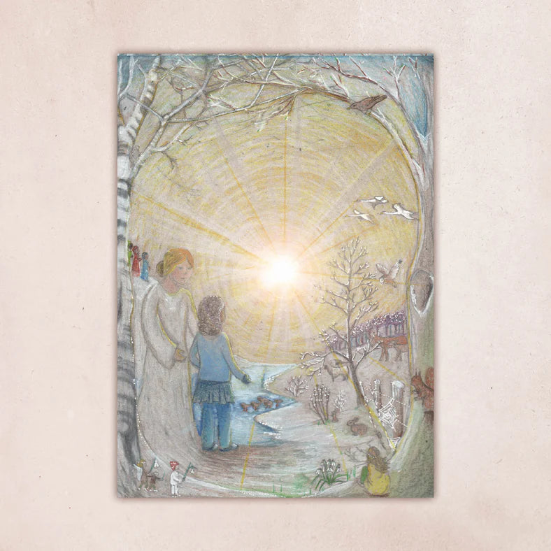 Wilded Family Seasonal Postcard Set