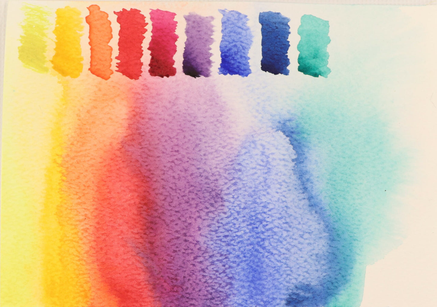 Apiscor Watercolour Paints 6 Set