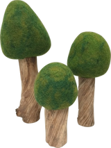 Papoose Summer Trees