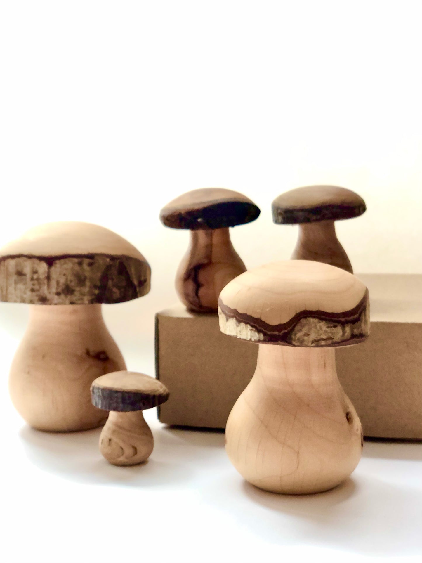 Wood turned Mushroom