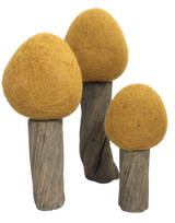 Papoose Earth Spring Trees