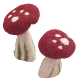 Papoose Hollow Mushrooms