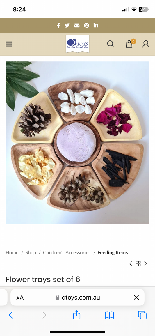 Sensory Flower Tray